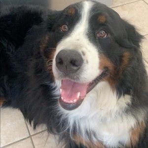 Meet your Posher, Jordan